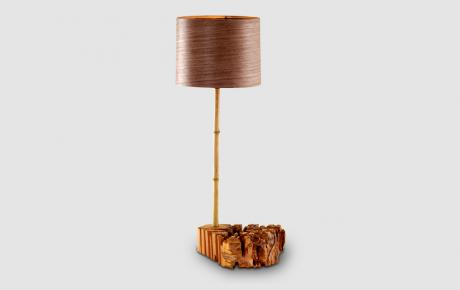 portfolio item